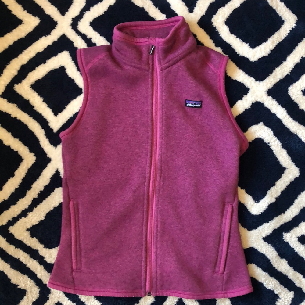 Patagonia Better Sweater fleece vest